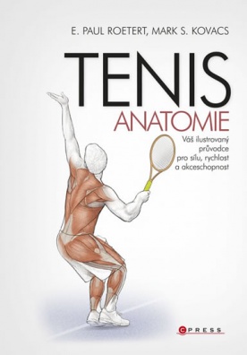 Tenis - anatomie