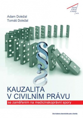 Kauzalita v civilním právu se zaměřením na medicínskoprávní spory