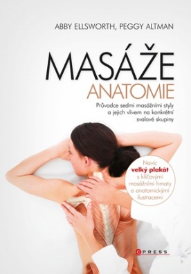 Masáže - anatomie