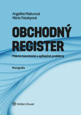 Obchodný register, Právno-teoretické a aplikačné problémy