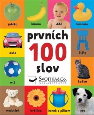 Prvních 100 slov