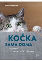 Kočka sama doma