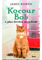 Kocour Bob a jeho životní moudrost