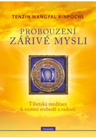 Probouzení zářivé mysli