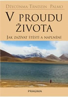 V proudu života - Jak zažívat štěstí a naplnění