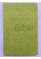 Bible, překlad 21. století (Green)