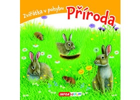 Příroda - Zvířátka v pohybu