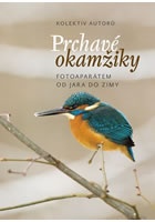 Prchavé okamžiky přírody - Fotoaparátem od jara do zimy