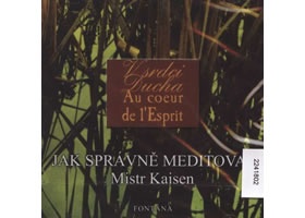 Jak správně meditovat - CD