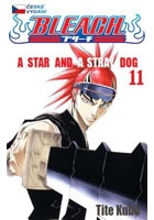 Bleach 11: A Star and a Stray Dog