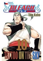 Bleach 10: Tattoo on the Sky