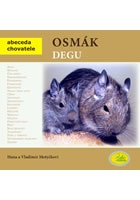 Osmák degu - Abeceda chovatele