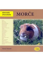 Morče - Abeceda chovatele