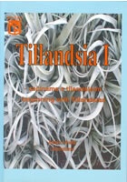 Tillandsia I - Začínáme s tilandsiemi. Beginning with Tillandsias