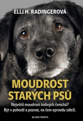 Moudrost starých psů