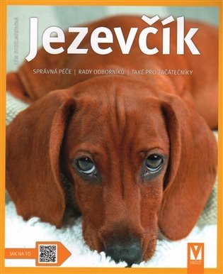 Jezevčík