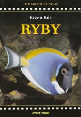 Ryby