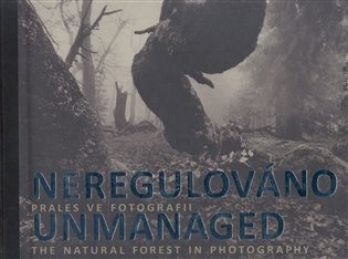 Neregulováno. Prales ve fotografii