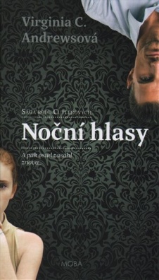 Noční hlasy