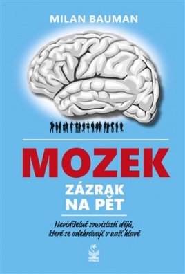 Mozek