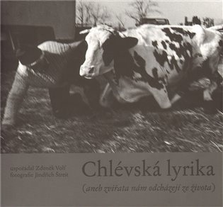 Chlévská lyrika