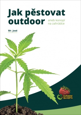 Jak pěstovat outdoor, aneb konopí na zahrádce