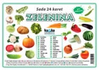 Sada 24 karet - zelenina