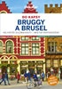 Brusel a Bruggy do kapsy - Lonely Planet