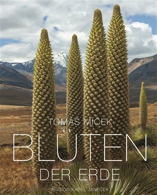 Blüten der Erde