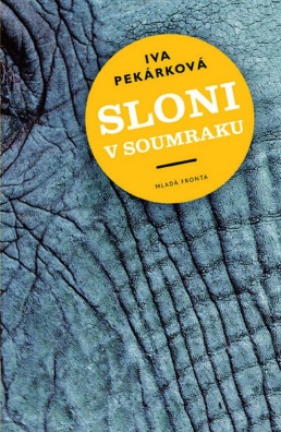 Sloni v soumraku