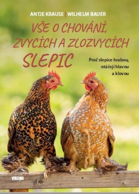 Vše o chování, zvycích a zlozvycích slepic. Proč slepice hrabou, otáčejí hlavou a klovou