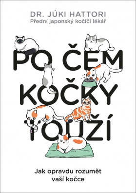 Po čem kočky touží? Ilustrovaný lidsko-kočičí slovník