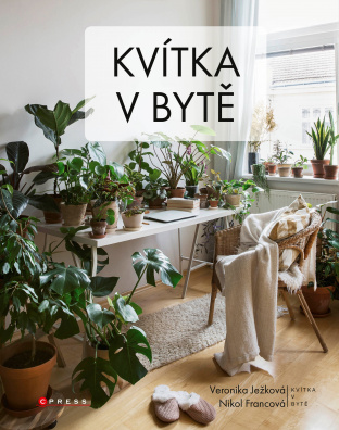 Kvítka v bytě