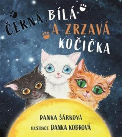 Černá, bílá a zrzavá kočička