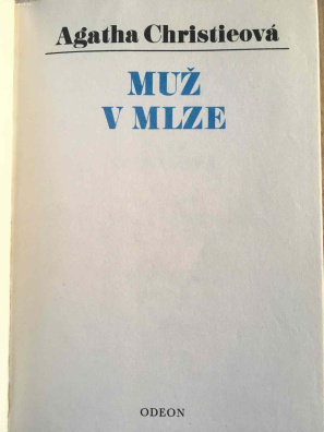 Muž v mlze