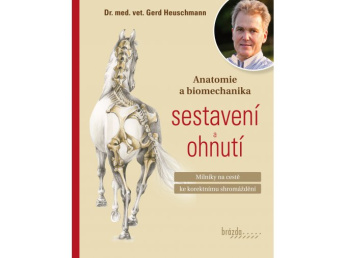 Anatomie a biomechanika-sestavení a ohnutí