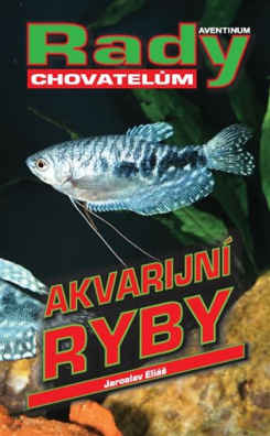 Akvarijní ryby rady chovatelům