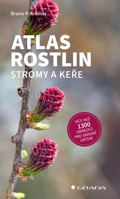 Atlas rostlin - Stromy a keře