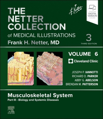The Netter Collection of Medical Illustrations: Musculoskeletal System, Volume 6, Part III - 3rd Edi
