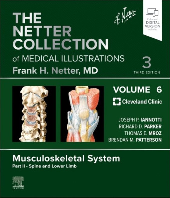 The Netter Collection of Medical Illustrations: Musculoskeletal System, Volume 6, Part II - 3rd Edi