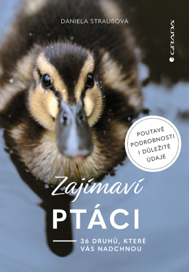 Zajímaví ptáci. 36 druhů, které vás ohromí