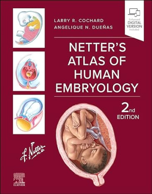 Netter's Atlas of Human Embryology 