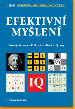 Efektivní myšlení