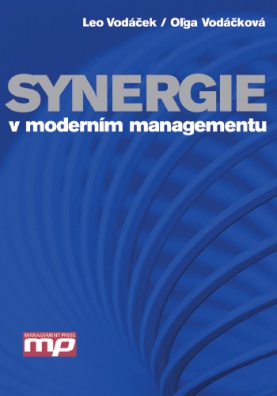 Synergie v moderním managementu