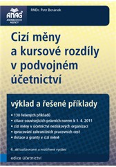 Cizí měny a kursové rozdíly v podvojném účetnictví