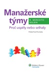 Manažerské týmy