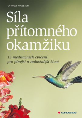 Síla přítomného okamžiku - 15 meditačních cvičení pro plnější a radostnější život