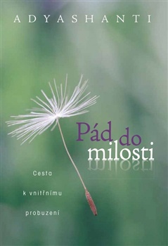 Pád do milosti - Cesta k vnitřnímu probuzení