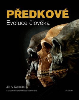 Předkové. Evoluce člověka