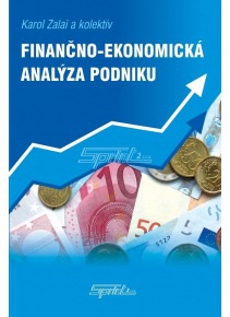 Finančno-ekonomická analýza podniku